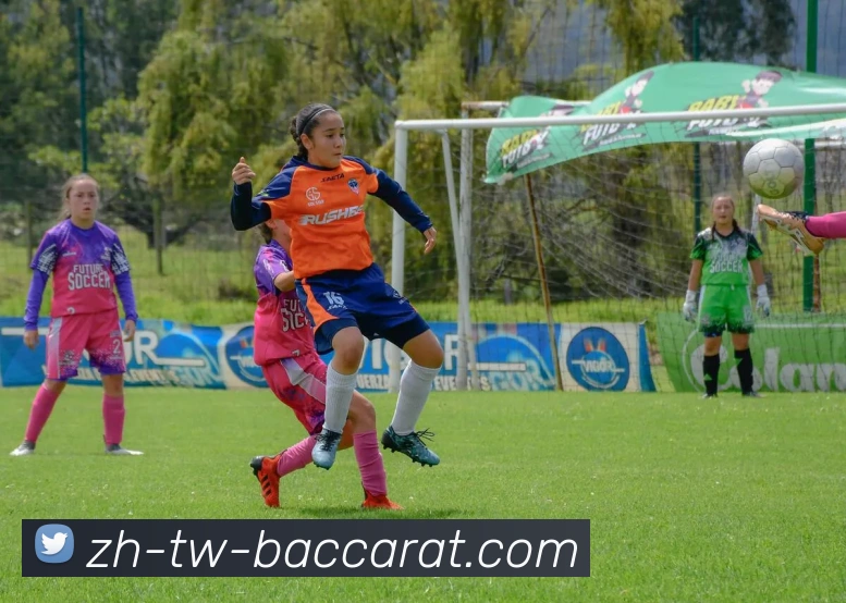 百家乐官网平台生态图